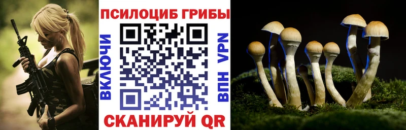 Псилоцибиновые грибы GOLDEN TEACHER  ОМГ ОМГ ONION  Суворов 